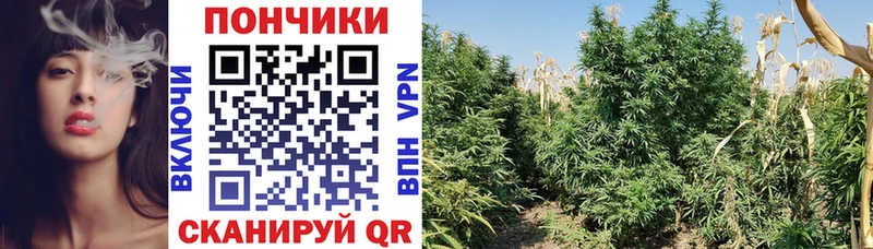 Купить закладки  Урай  Бошки Шишки OG Kush 